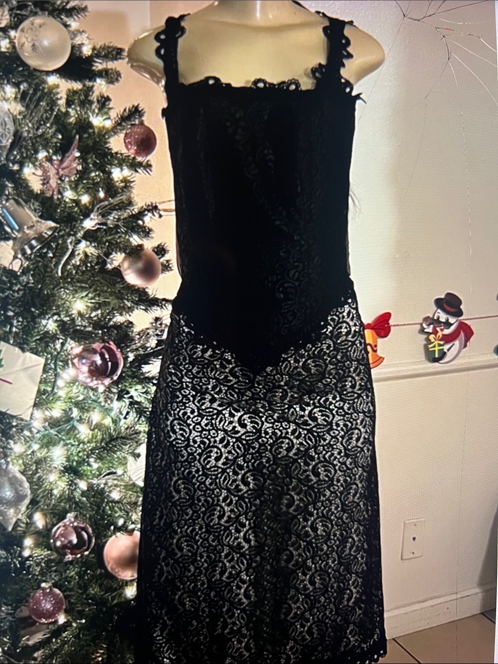 Black Lace Overlay Sleeveless Evening Dress